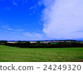 Biei Hokkaido blue sky white cloud hill 24249320