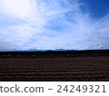Biei Hokkaido blue sky white cloud hill 24249321