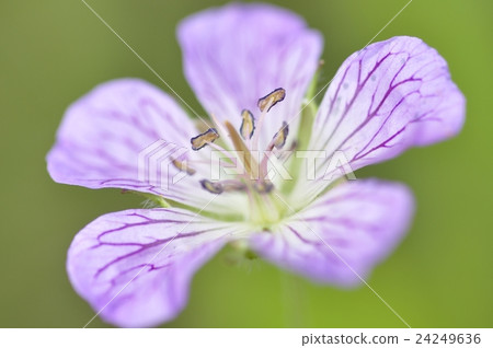 Kai furo Kai furo 24249636