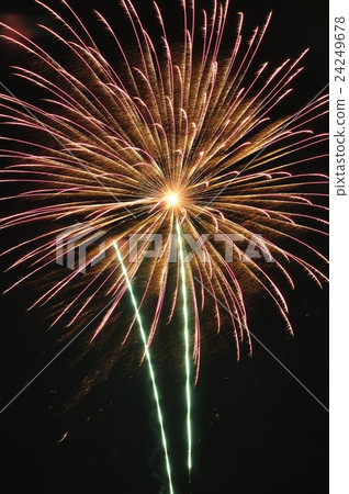 Summer night sky launch flower Summer night sky launch flower 24249678