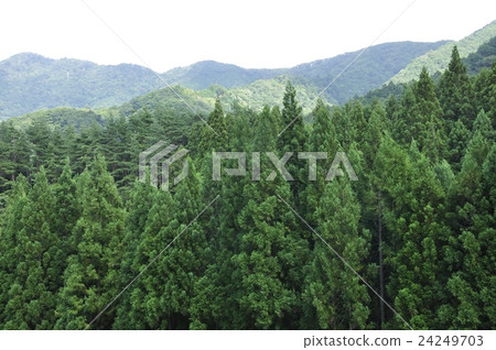 View of the mainland border ridge of summer View of the mainland border ridge of summer 24249703