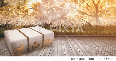Composite image of suitcase Composite image of suitcase 24251698