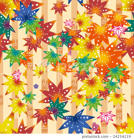 紅色型紅楓 24254219