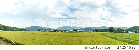 全景Sekigahara老戰場的遺骸 全景Sekigahara老戰場的遺骸 24254686