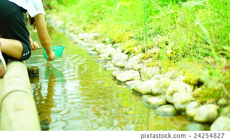 Firefly release Firefly release 24254827