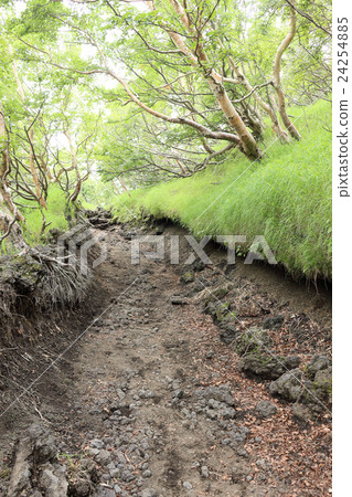 Mt. Fuji · Suugun route Route near Jiyuga 24254885