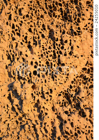 Close up of Termite mound in Outback Australia Close up of Termite mound in Outback Australia 24255010
