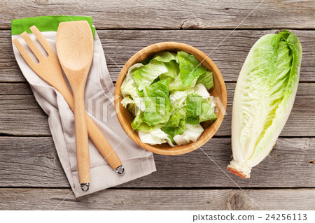 Fresh healthy romaine lettuce salad 24256113