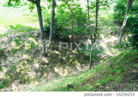 Kokokuji城堡遺址Great Skybori Kokokuji城堡遺址Great Skybori 24256253