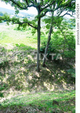 Kokokuji城堡遺址Great Skybori Kokokuji城堡遺址Great Skybori 24256254