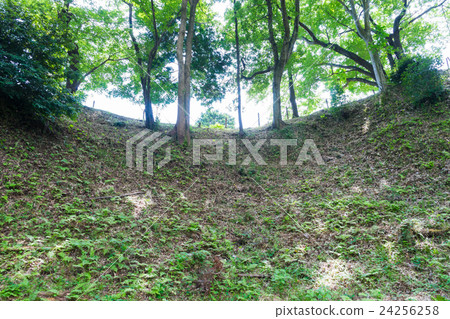Kokokuji城堡遺址Great Skybori Kokokuji城堡遺址Great Skybori 24256258