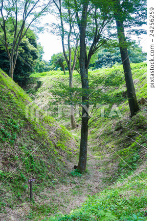 Kokokuji城堡遺址Great Skybori Kokokuji城堡遺址Great Skybori 24256259