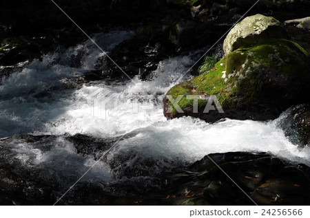 Moss and river Moss and river 24256566
