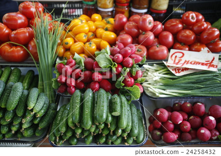 EUROPE LATVIA RIGA 24258432