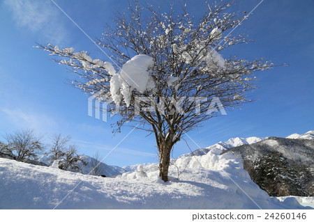 Snow scenic Shirakawago 24260146