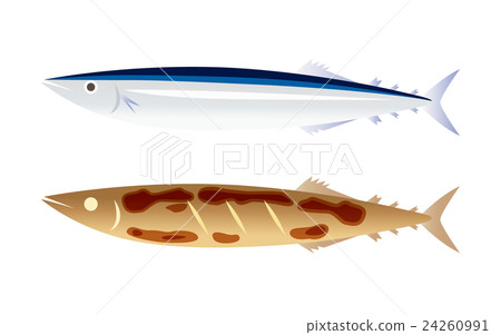 生秋刀魚和烤秋刀魚 24260991