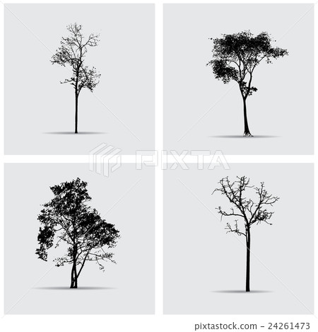Set of vector tree silhouettes. Set of vector tree silhouettes. 24261473