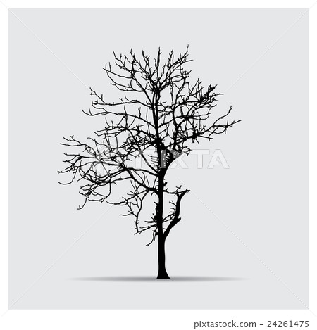 Vector tree silhouettes Vector tree silhouettes 24261475