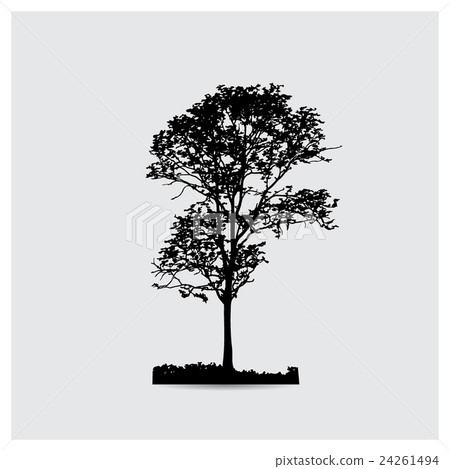 Vector tree silhouettes Vector tree silhouettes 24261494