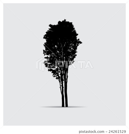 Vector tree silhouettes Vector tree silhouettes 24261529