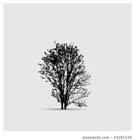 Vector tree silhouettes 24261530