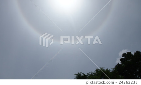 Japanese wheel 24262233