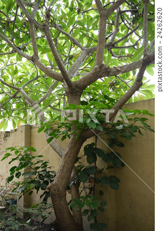 Tian Le small Park Hotel Tian Le small Park Hotel 24262620