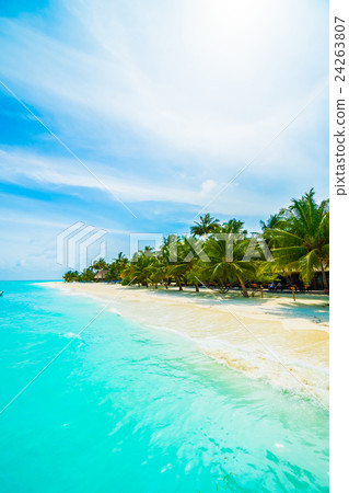 Maldives island Maldives island 24263807