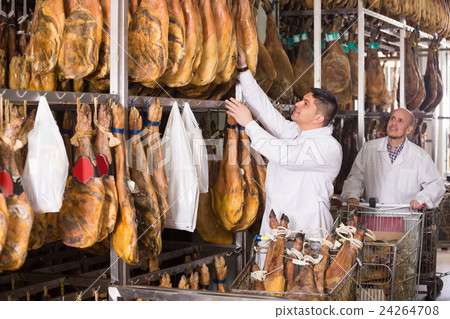 Farm workers checking condition of jamon. Farm workers checking condition of jamon. 24264708