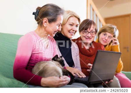 female pensioner studying laptop 24265020