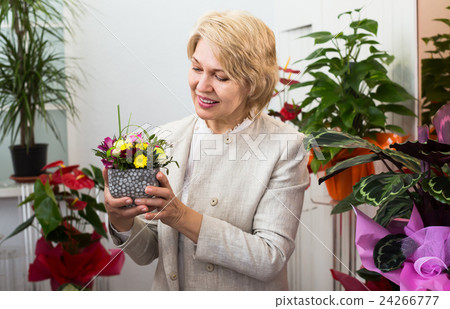Mature retiree female customer choosing flowers Mature retiree female customer choosing flowers 24266777
