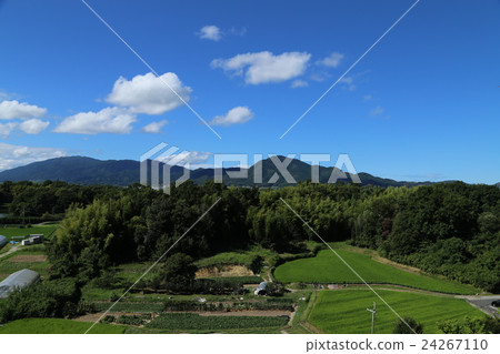 心形稻田 24267110