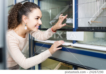 female customer buying new bird in pet shop female customer buying new bird in pet shop 24267290