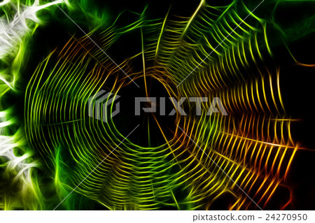 Abstract spider web Abstract spider web 24270950