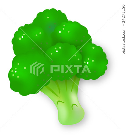 Broccoli green yellow vegetable Brassicaceae cute illustrations Broccoli green yellow vegetable Brassicaceae cute illustrations 24273150