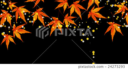 秋楓 秋楓 24273293
