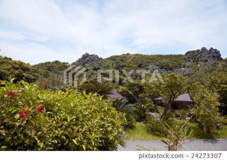 沖繩/大石早山 沖繩/大石早山 24273307