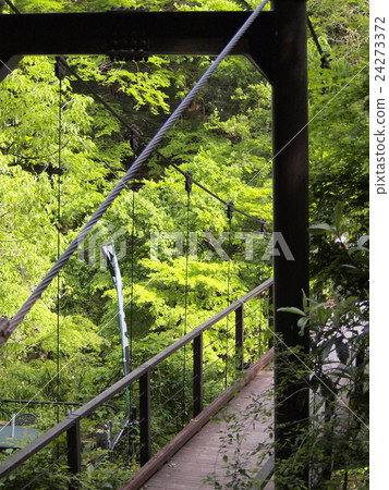 Hatono Nest Hatono Nest 24273372