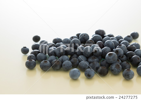 藍莓黃背 24277275