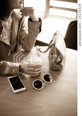 棕褐色女性肖像 棕褐色女性肖像 24278329