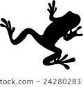 Frog silhouette black 24280283