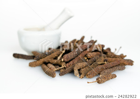 Long pepper or Pipli or Dipli (Piper longum) 24282922