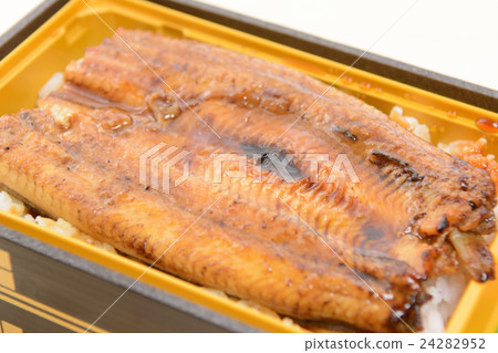 Delicious eel box lunch 24282952