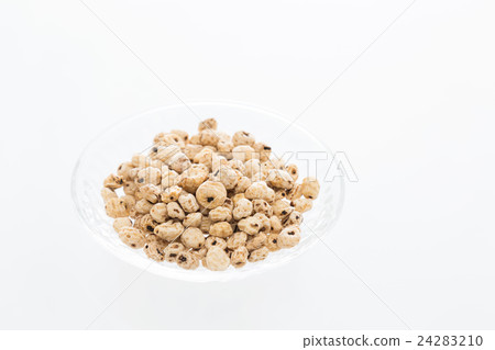Tiger nut white back 24283210