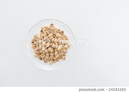 老虎堅果白背 24283265