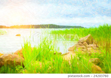 Green bulrush in a Bay of Finnish Gulf. camping 24283760