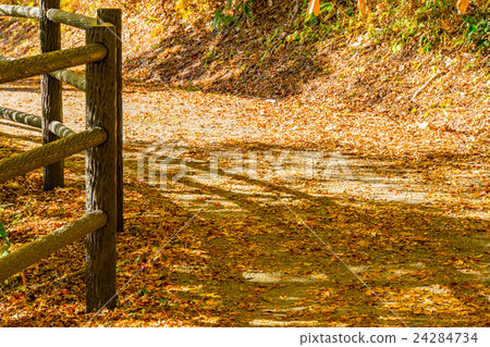 [Miyagi Prefecture] Autumn leaves of Naruko Gorge 24284734
