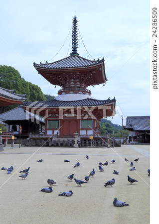 Onomichi Jodoji Temple 24286509