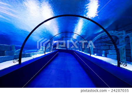 aquarium 24287035