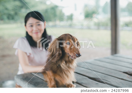 毛小孩 毛孩 寵物 24287996